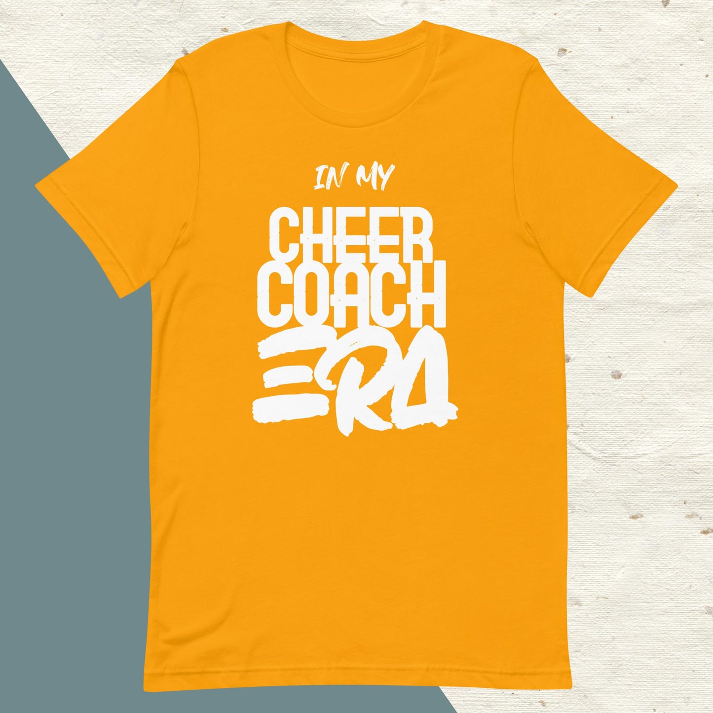 ADULT "In my CHEER COACH ERA" back to school tee t shirt