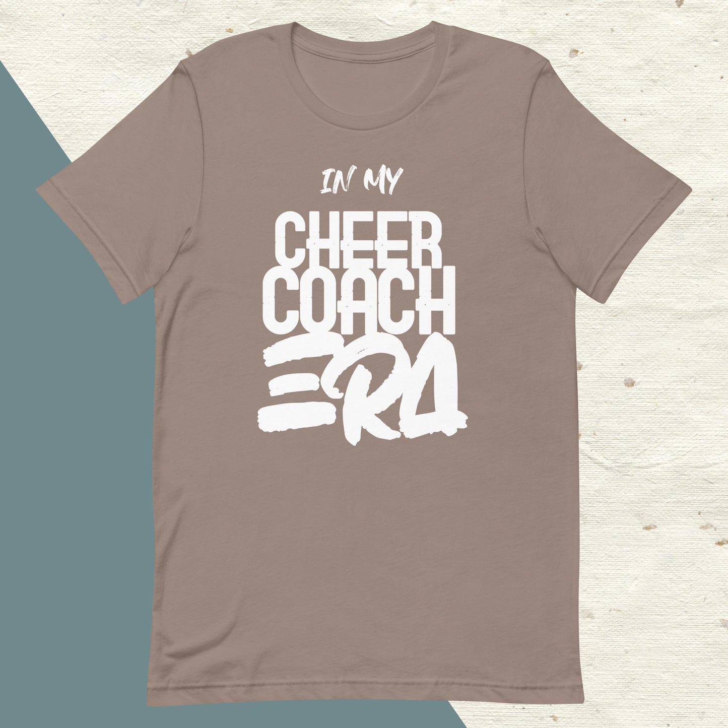 ADULT "In my CHEER COACH ERA" back to school tee t shirt